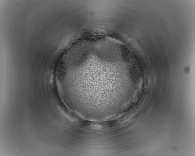 X0000090990706200708161917