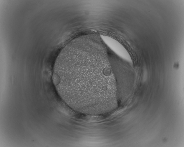 X0000090990707200708161917