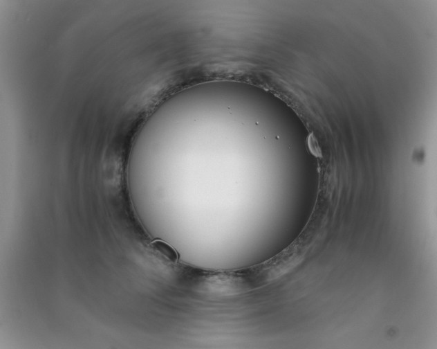 X0000090990708200708161917