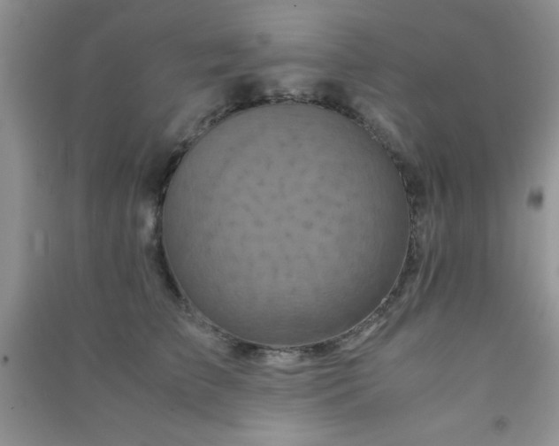 X0000090990709200708161917