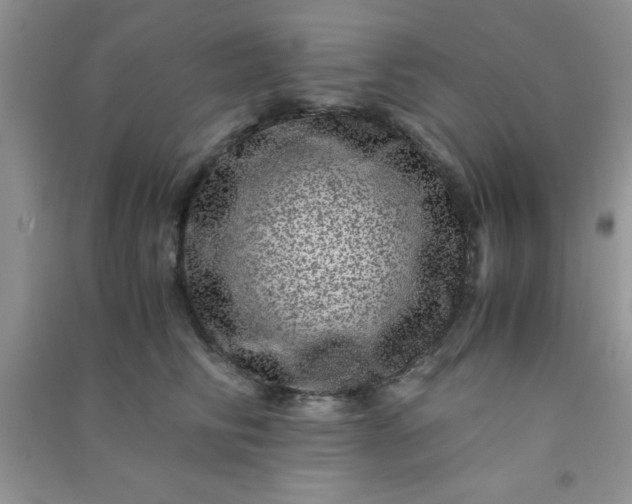 X0000090990710200708161917