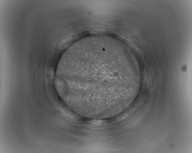 X0000090990711200708161917