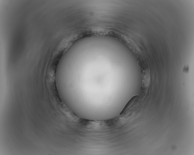 X0000090990713200708161917
