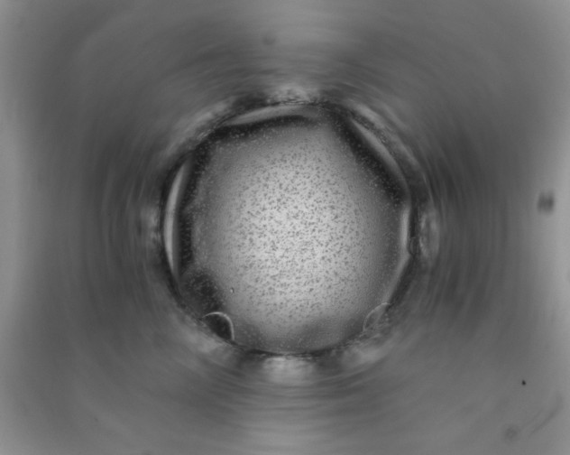 X0000090990714200708161917