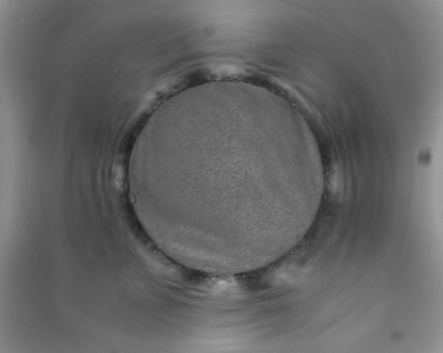 X0000090990715200708161917