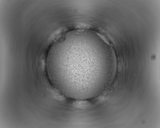 X0000090990716200708161917