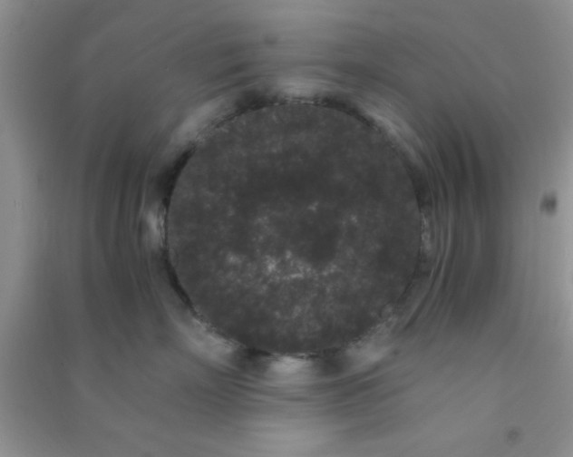 X0000090990718200708161917