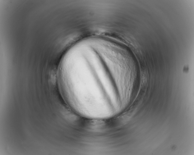 X0000090990719200708161917