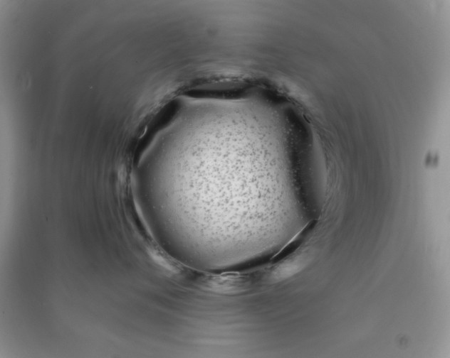 X0000090990720200708161917