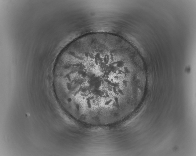 X0000090990721200708161916