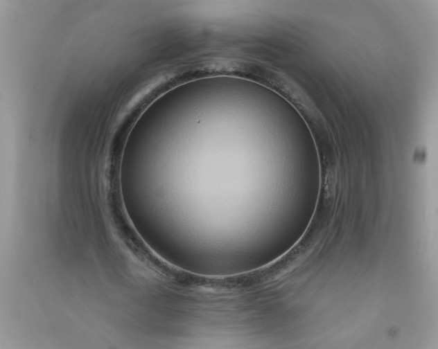 X0000090990722200708161916