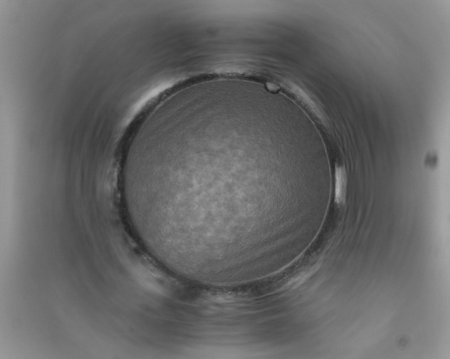 X0000090990723200708161916