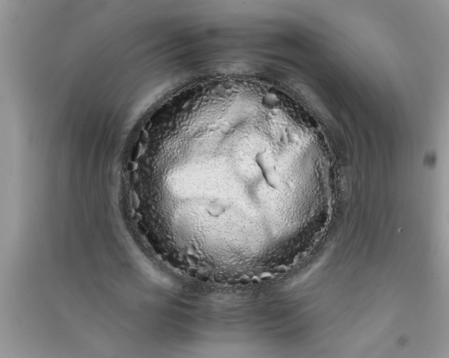 X0000090990725200708161916