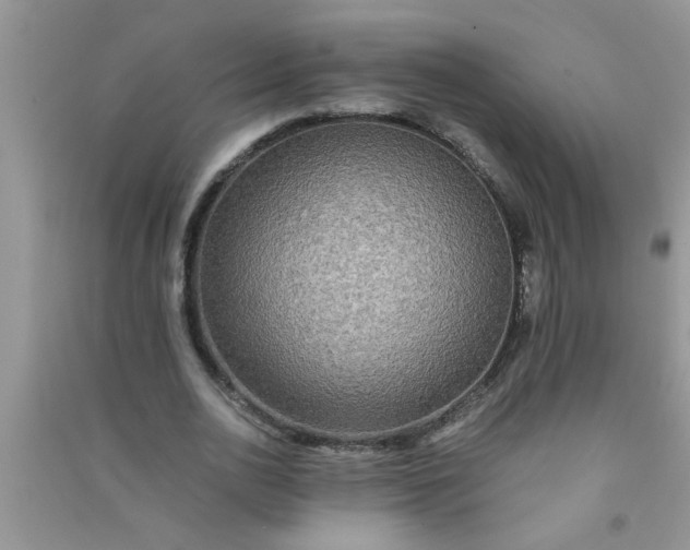 X0000090990726200708161916