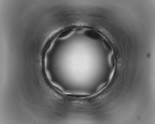 X0000090990727200708161916