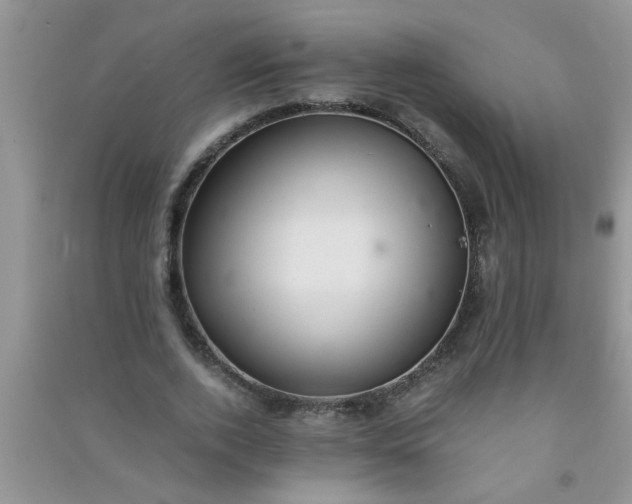 X0000090990728200708161916