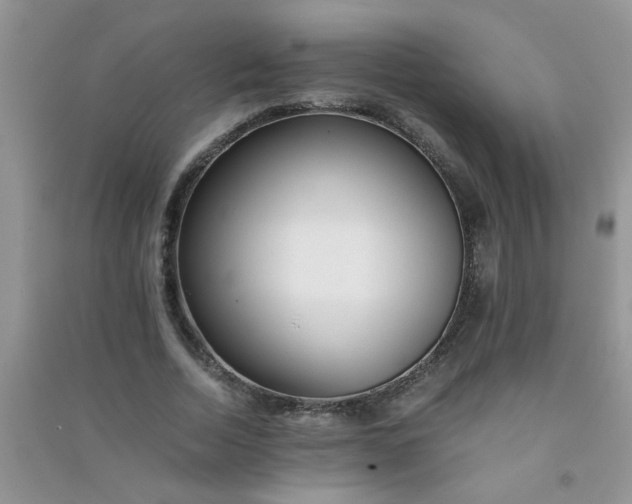 X0000090990730200708161916