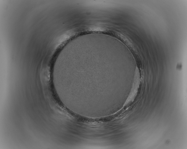 X0000090990731200708161916