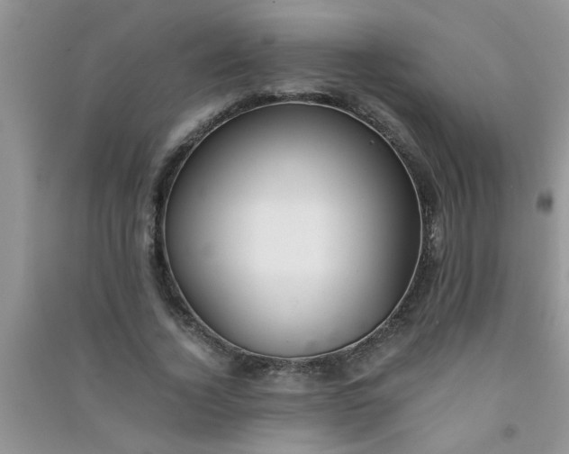 X0000090990732200708161916