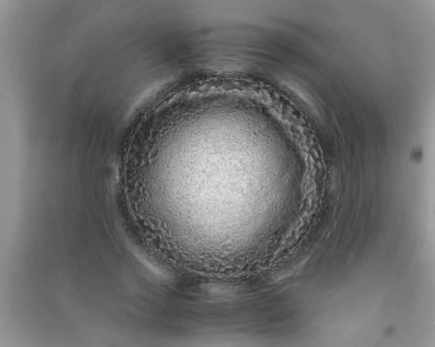X0000090990733200708161916