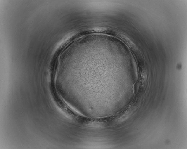 X0000090990734200708161916