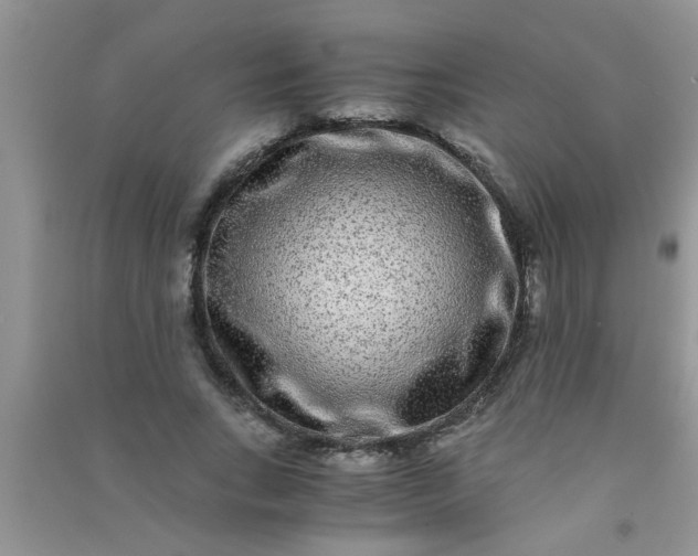 X0000090990735200708161916