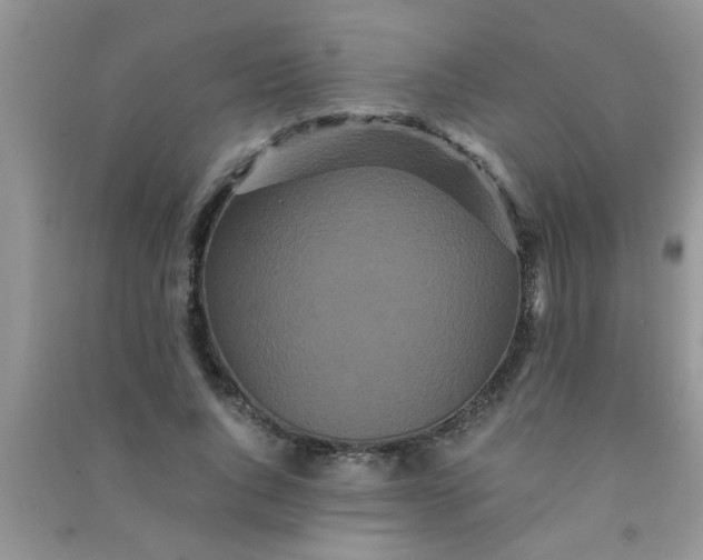 X0000090990736200708161916