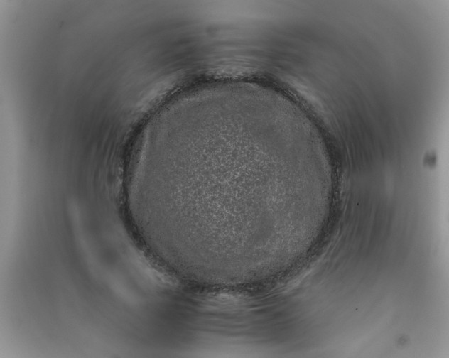 X0000090990737200708161916