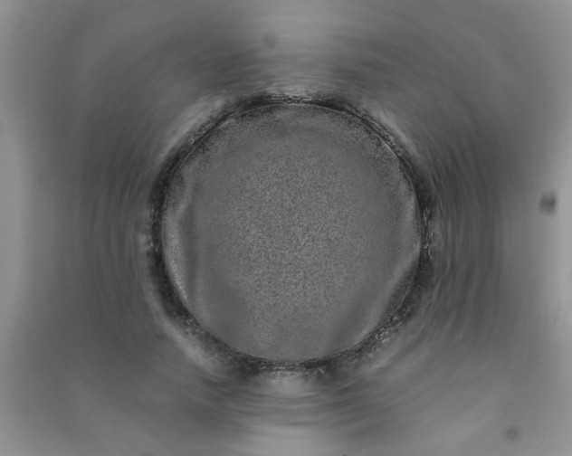 X0000090990738200708161916