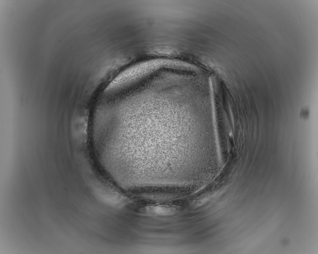 X0000090990739200708161916