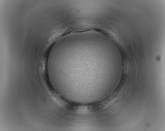 X0000090990740200708161916