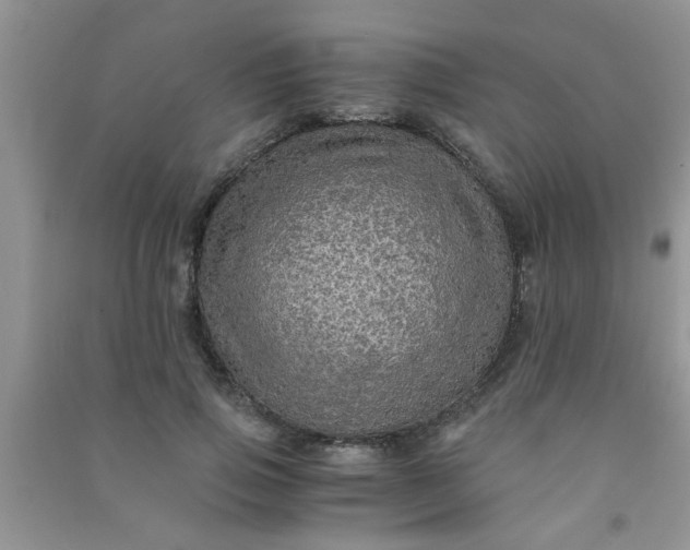 X0000090990741200708161916