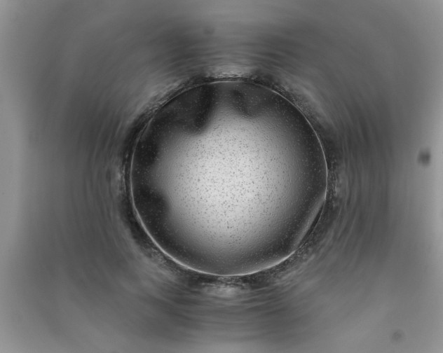 X0000090990743200708161916
