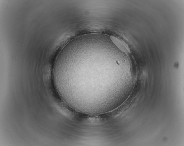 X0000090990744200708161916