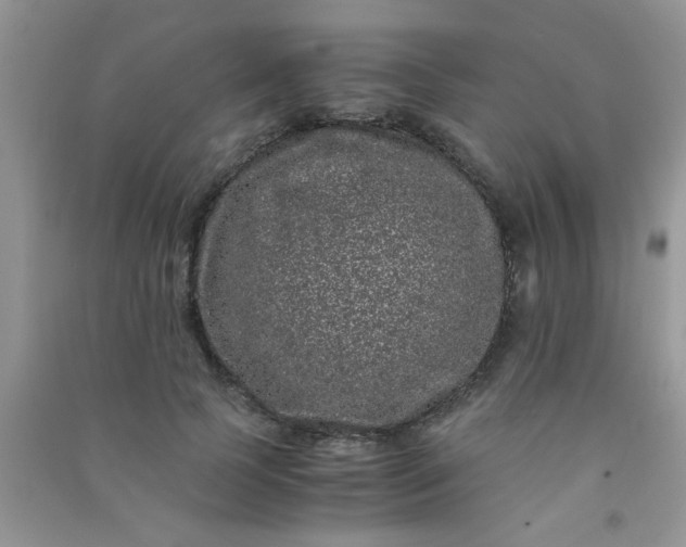 X0000090990745200708161916