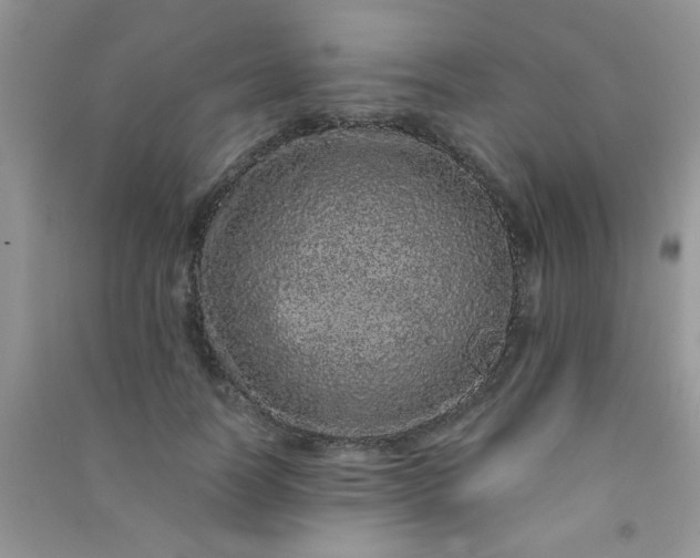 X0000090990746200708161916