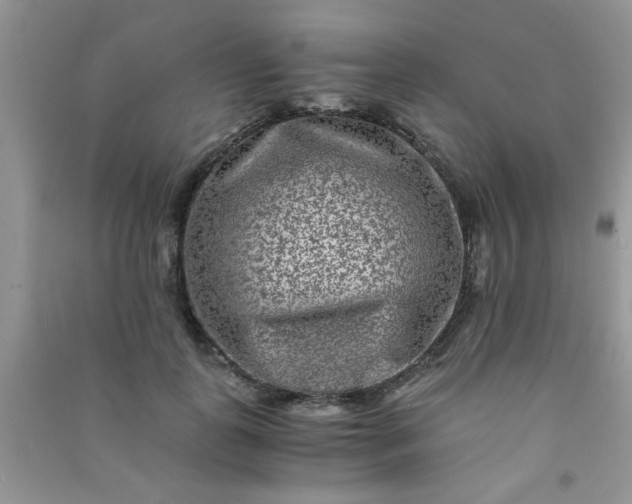 X0000090990747200708161916