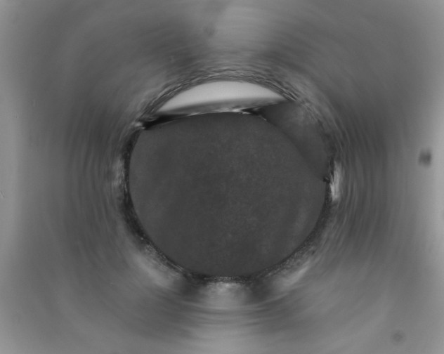 X0000090990748200708161916