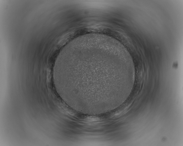 X0000090990749200708161916