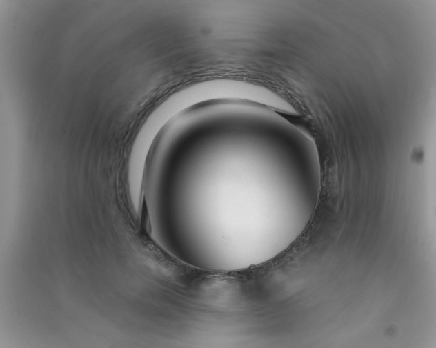 X0000090990750200708161916
