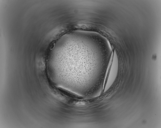 X0000090990751200708161917