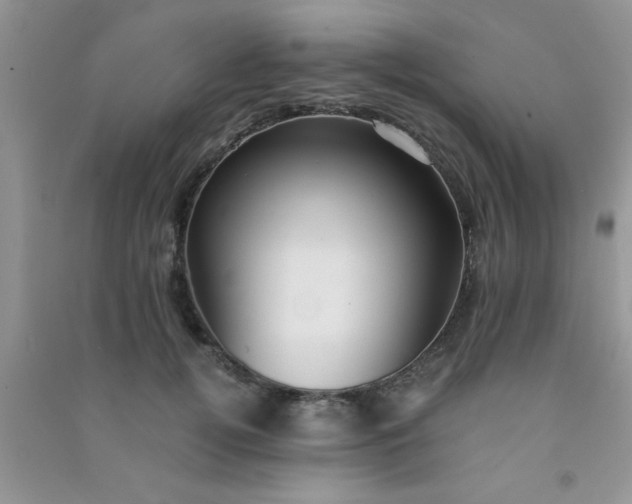 X0000090990752200708161917