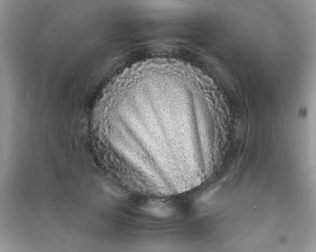 X0000090990753200708161917