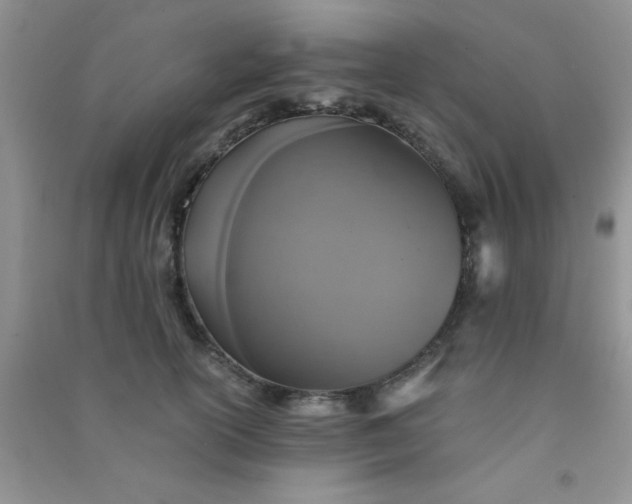 X0000090990754200708161917