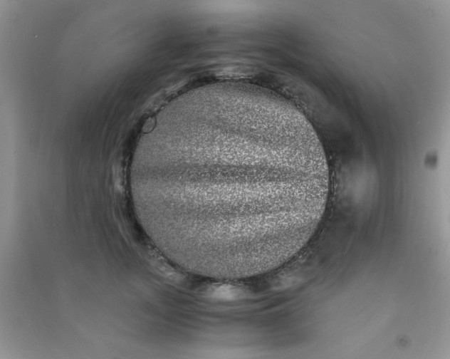 X0000090990755200708161917