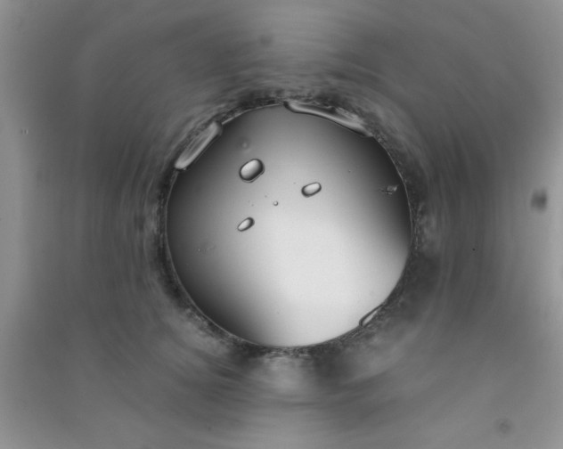 X0000090990756200708161917