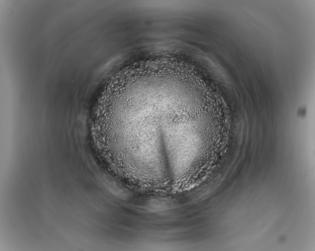 X0000090990757200708161917