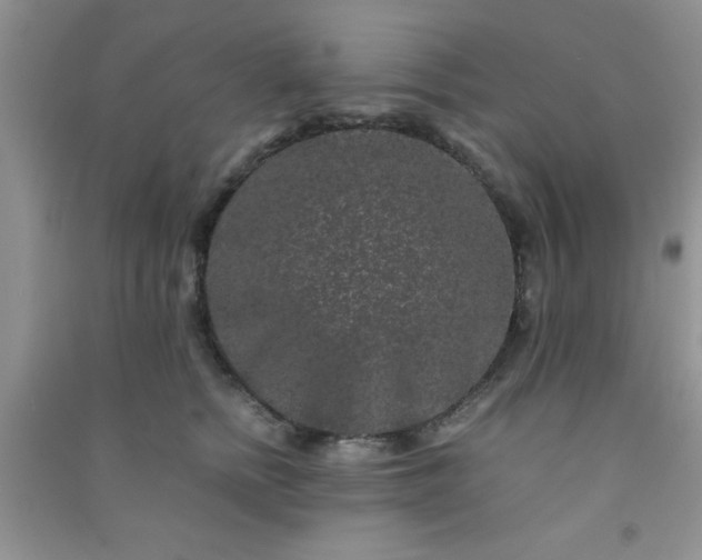 X0000090990758200708161917
