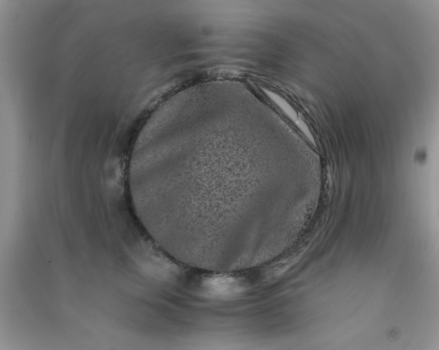 X0000090990759200708161917