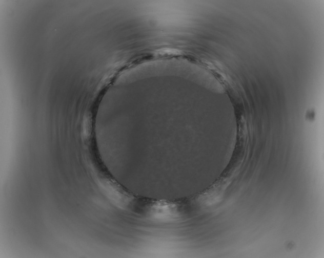 X0000090990760200708161917